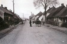 A farmer with a cow on a street, Landskrona, Sweden, 1900. Creator: Borg Mesch