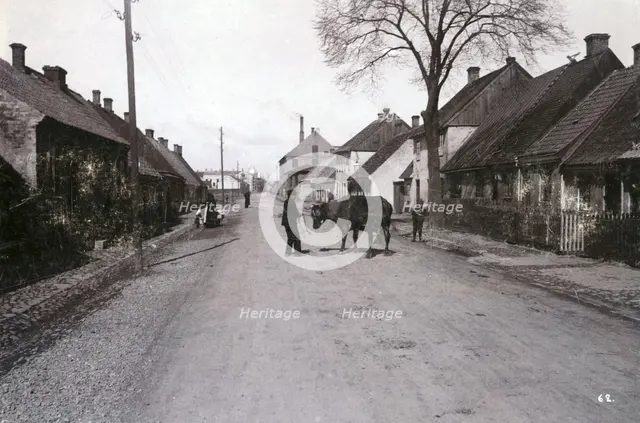 A farmer with a cow on a street, Landskrona, Sweden, 1900.  Creator: Borg Mesch.
