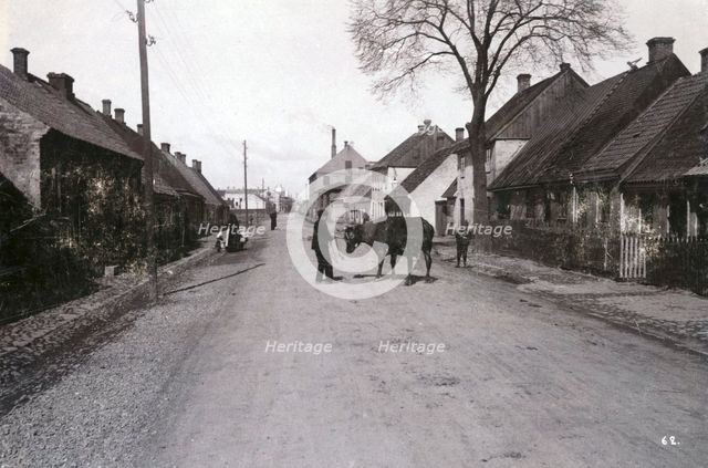 A farmer with a cow on a street, Landskrona, Sweden, 1900.  Creator: Borg Mesch.