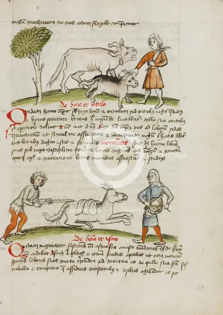 A Farmer with an Ox and Calf: A Man Hitting a Donkey: A Man..., third quarter of 15th century. Creator: Unknown.