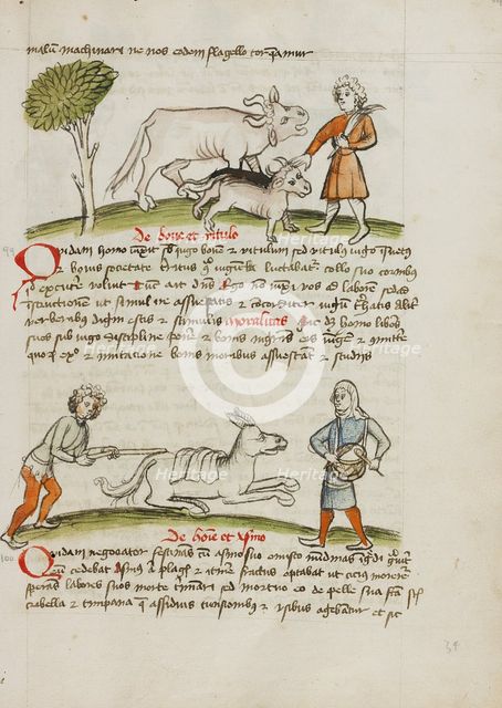 A Farmer with an Ox and Calf: A Man Hitting a Donkey: A Man..., third quarter of 15th century. Creator: Unknown.
