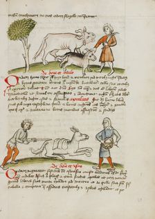 A Farmer with an Ox and Calf: A Man Hitting a Donkey: A Man..., third quarter of 15th century. Creator: Unknown