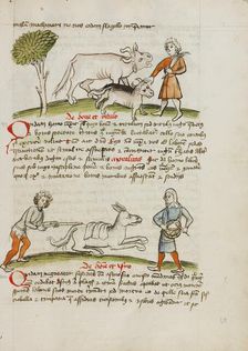A Farmer with an Ox and Calf: A Man Hitting a Donkey: A Man..., third quarter of 15th century. Creator: Unknown