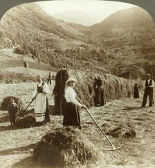 A farmer's family making hay in a sunny field between the mountains, Roldal, Norway c1905. Creator: Unknown