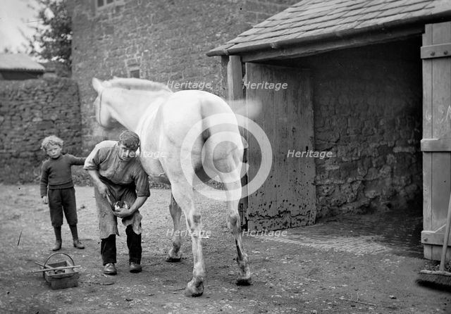 A farrier shoes a horse at Hellidon, Northamptonshire, c1873-c1923. Artist: Alfred Newton & Sons