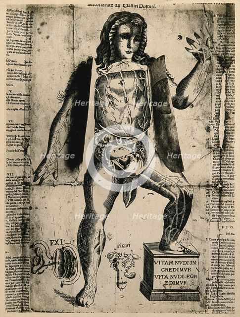 A female flap anatomy fugitive sheet, with layered flaps lifted to reveal the anatomy of the... Creator: Unknown.