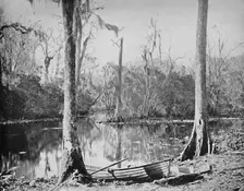A Feeder of the St. John's River, Florida c1897. Creator: Unknown