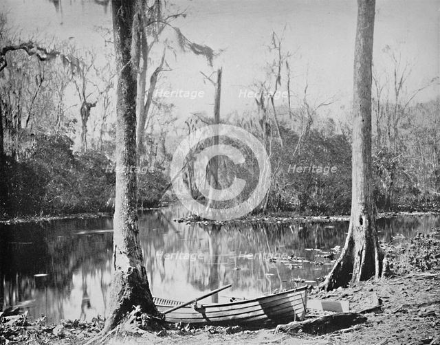 'A Feeder of the St. John's River, Florida', c1897. Creator: Unknown.