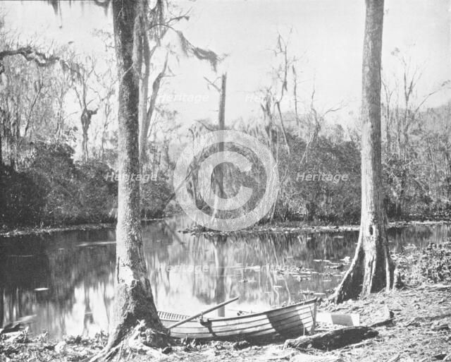 A Feeder of the St. John's River, Florida, USA, c1900. Creator: Unknown.