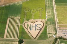 A field with flowers planted in the shape of a heart in support of the NHS, Hayling Island, 2020. Creator: Damian Grady