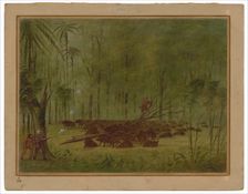 A Fight with Peccaries - Caribbe, 1854/1869. Creator: George Catlin