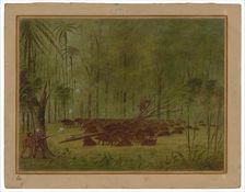 A Fight with Peccaries - Caribbe, 1854/1869. Creator: George Catlin