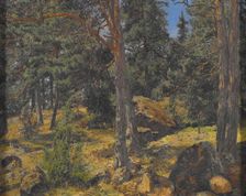 A Fir Bank, date unknown. Creator: Gottfrid Kallstenius