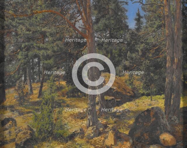 A Fir Bank, date unknown. Creator: Gottfrid Kallstenius.