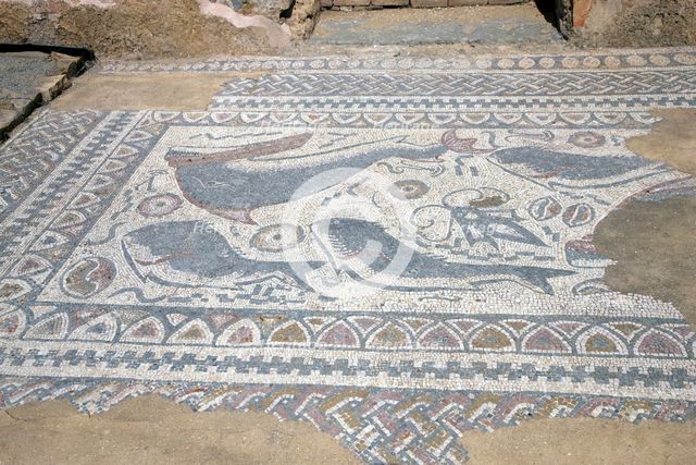 A fish mosaic in the east side of the peristylium, Milreu, Portugal, 2009. Artist: Samuel Magal