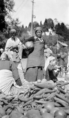 A food market in Darjeeling, West Bengal, India, c1910