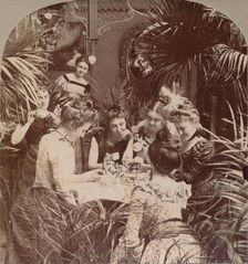 A Fortune in a Teacup 1901