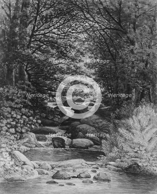 A Forest Cascade at Hiram, Maine, 1859. Creator: Henry Hitchings.