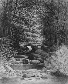 A Forest Cascade at Hiram, Maine, 1859. Creator: Henry Hitchings