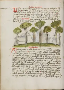 A Forest; Fables, third quarter of 15th century. Creator: Unknown