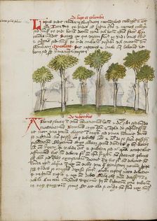 A Forest; Fables, third quarter of 15th century. Creator: Unknown