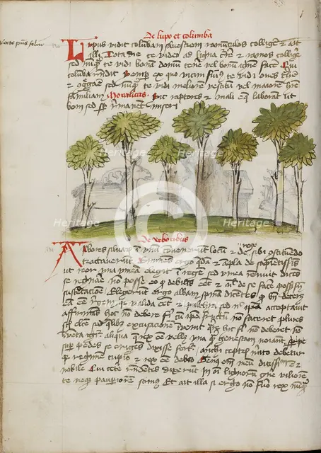 A Forest; Fables, third quarter of 15th century. Creator: Unknown.