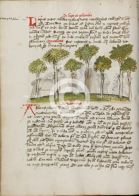 A Forest; Fables, third quarter of 15th century. Creator: Unknown.