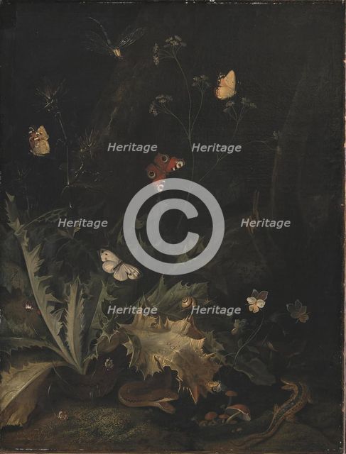 A Forest Floor with a Thistle, a Snake, a Lizard and Butterflies;Still Life, 1635-1678. Creator: Otto Marseus van Schrieck.