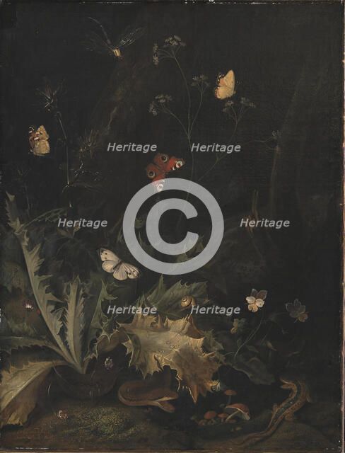 A Forest Floor with a Thistle, a Snake, a Lizard and Butterflies;Still Life, 1635-1678. Creator: Otto Marseus van Schrieck.