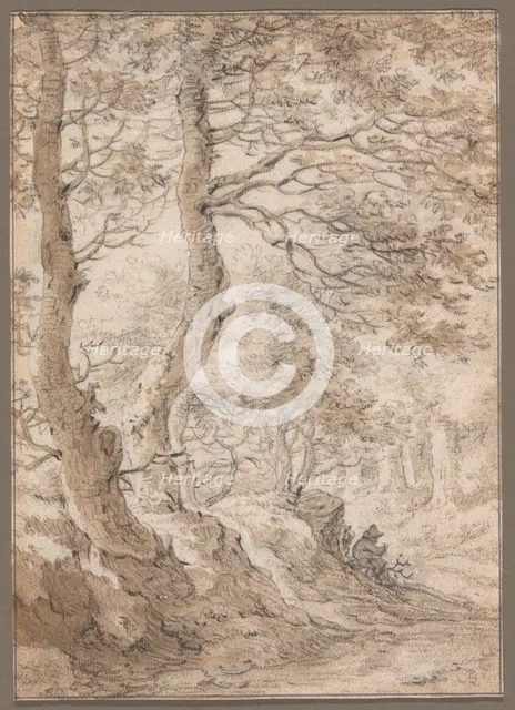 A Forest Interior, with a Seated Figure, n.d. Creator: Herman Saftleven the Younger.