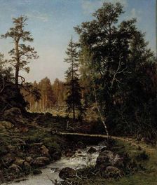 A Forest Landscape from Hauho, 1884. Creator: Hjalmar Munsterhjelm