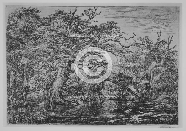 A Forest Marsh with Travelers on a Bank (The Travelers), 17th century. Creator: Jacob van Ruisdael.