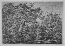 A Forest Marsh with Travelers on a Bank (The Travelers), 17th century. Creator: Jacob van Ruisdael