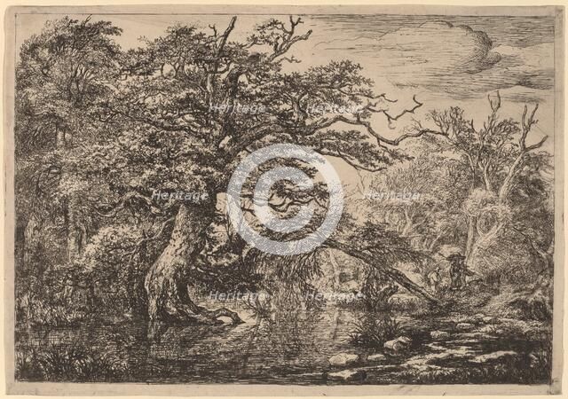 A Forest Marsh with Travelers on a Bank (The Travelers). Creator: Jacob van Ruisdael.