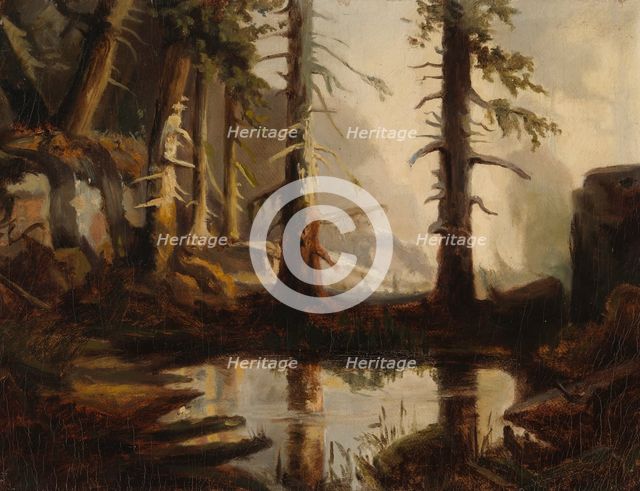 A Forest Pond, after H. A. Cappelen, 1871. Creator: Fanny Churberg.