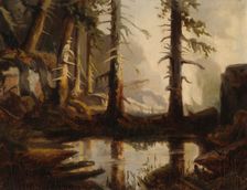 A Forest Pond, after H. A. Cappelen, 1871. Creator: Fanny Churberg