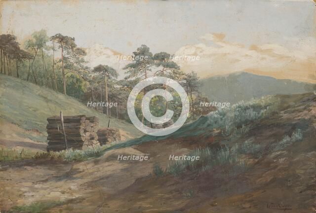 A forest valley with pine trees, around 1894-1895. Creator: Ludovit Cordak.