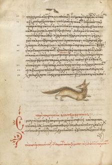 A Fox, 1510-1520. Creator: Unknown
