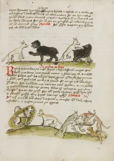 A Fox and a Bear: A Fox Attacking a Bear: A Lion in its Den and..., third quarter of 15th century. Creator: Unknown