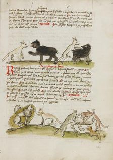 A Fox and a Bear: A Fox Attacking a Bear: A Lion in its Den and..., third quarter of 15th century. Creator: Unknown