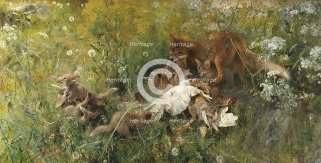 A Fox Family, 1886. Creator: Bruno Liljefors.