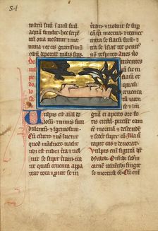 A Fox Playing Dead; De Natura Avium; De Pastoribus et Ovibus, 1277 or after. Creator: Unknown