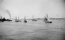 A flotilla of bawley boats, c1945-c1965. Artist: SW Rawlings