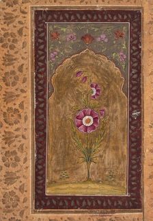 A Flower Study, between 1700 and 1725. Creator: Unknown