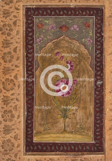 A Flower Study, between 1700 and 1725. Creator: Unknown.