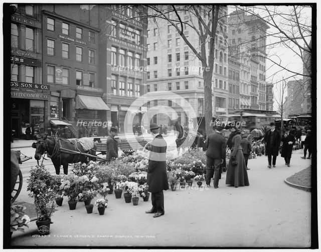 A Flower vender's [sic] Easter display, New York, c1904. Creator: Unknown.