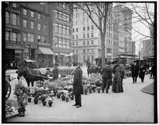 A Flower vender's [sic] Easter display, New York, c1904. Creator: Unknown