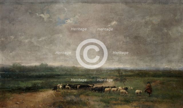 A flock, c1900. Creator: Eduardo de Alba y Massa.