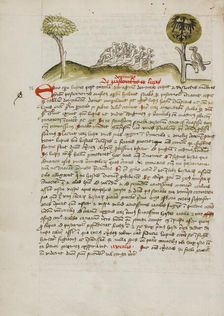 A Flock of Birds under a Tree including a Crowned Eagle with a..., third quarter of 15th century. Creator: Unknown