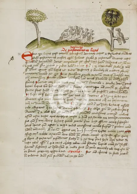 A Flock of Birds under a Tree including a Crowned Eagle with a..., third quarter of 15th century. Creator: Unknown.